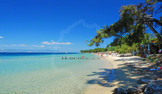Pachis - The Secluded Beach Paradise on Thassos Island